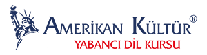 Amerikan Kültür
